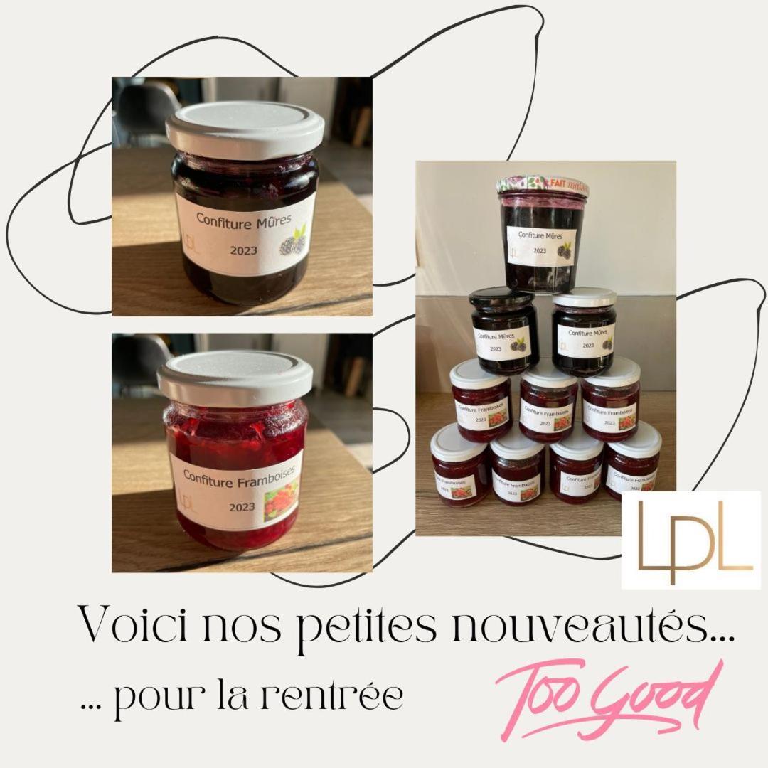 Bed and Breakfast Logis De Pierre Levee Bessines Екстер'єр фото